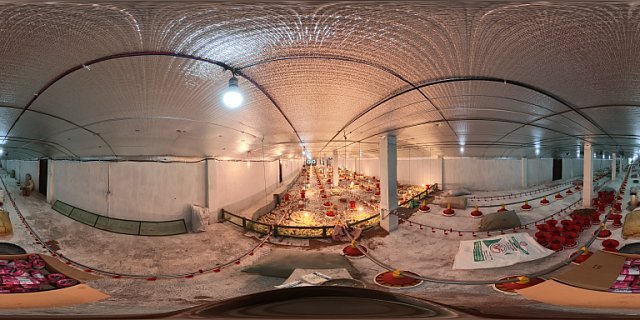 EC farm inside